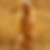 Playboy thumbnail