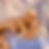 Playboy thumbnail