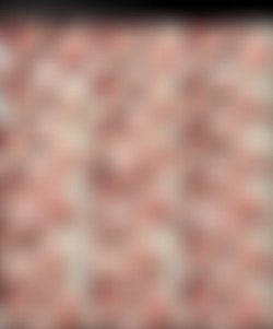 catsyts/Screenshots/0gu1p1me3sx9iy239u0jp_source.jpeg