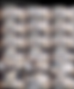 catsyts/Screenshots/0gubriiwaupgynbvai6n9_source.jpeg