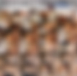 1920 x 1080 Pt.14/Scr/Fucks his High School English Teacher for Extra Credit #BACKTOSCHOOL2019_bigtiddybiddy_1080p.mp4.jpg