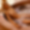 Playboy thumbnail