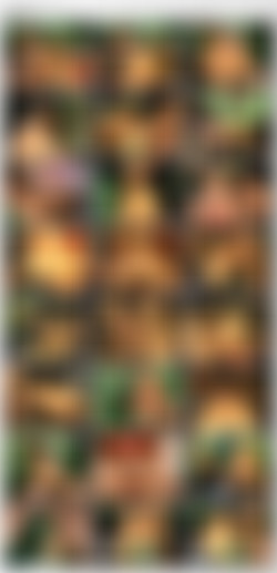 Erste Sperma Begegnung [DVD5]/_screens/VTS_01_3.VOB_thumbs.jpg