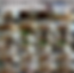 1920 x 1080 Pt.19/Scr/Playing with Madison's Pussy and a Big Dildo_LittleMadison_1080p.mp4.jpg