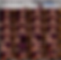 1920 x 1080 Pt.19/Scr/Quick Cum Deep in Tight Pussy, Dripping out_PUSSCIFER_1080p.mp4.jpg