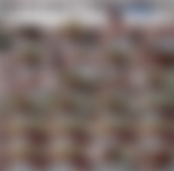 1920 x 1080 Pt.19/Scr/Scottish Plaid Lingerie. Sex Doll. Anal Sex. Slapping._DollHouse4k_1080p.mp4.jpg