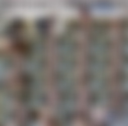 1920 x 1080 Pt.19/Scr/Selena Look-a-like Doll FaceFucked_DollHouse4k_1080p.mp4.jpg