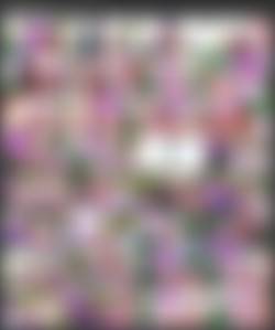 Allie Haze/Screen/Adventures in Babysitting Scene 5. Allie Haze, Alec Knight.avi.jpg