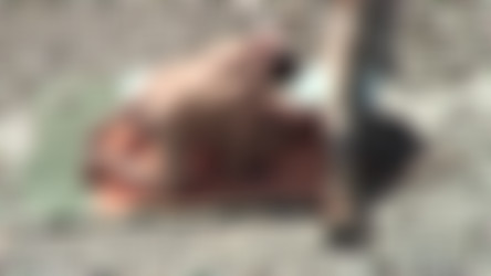 SxBeach_Add003/11b031sk09.avi